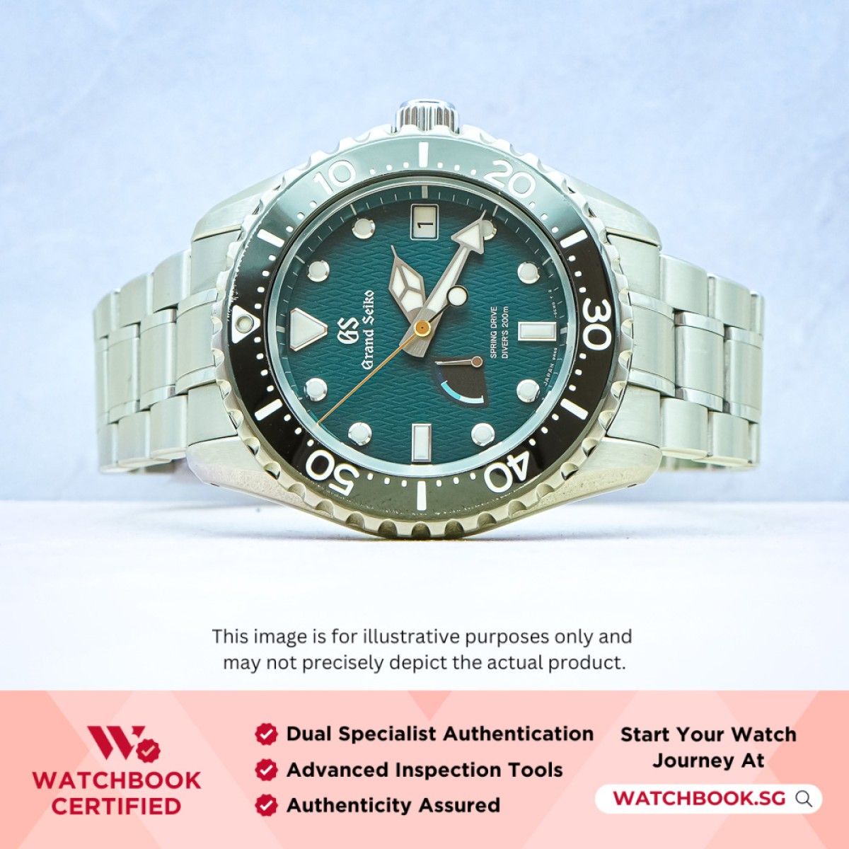 Grand seiko diver 2019 online
