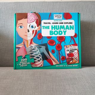 Martini Atlas Of The Human Body, Hobbies & Toys, Books & Magazines ...