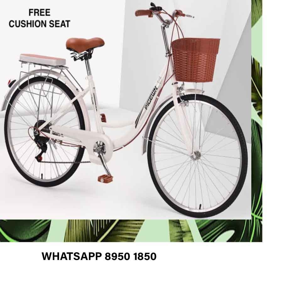15 inch ladies bike online
