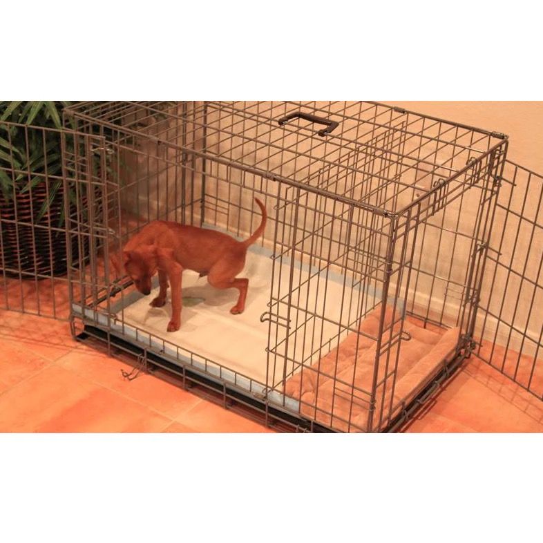 Crate potty archivos train puppy