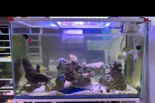 (Category: ) located in . Submitted by blackironman (Listing ID 1321147854, Image 1). Description: .