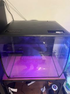 (Category: ) located in . Submitted by benjaminfr83649 (Listing ID 1321251490, Image 1). Description: .
