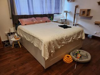 （分類：）位於 。 由 uckelvin 提交（商品編號 1321253774，圖片 1）。簡介： 。