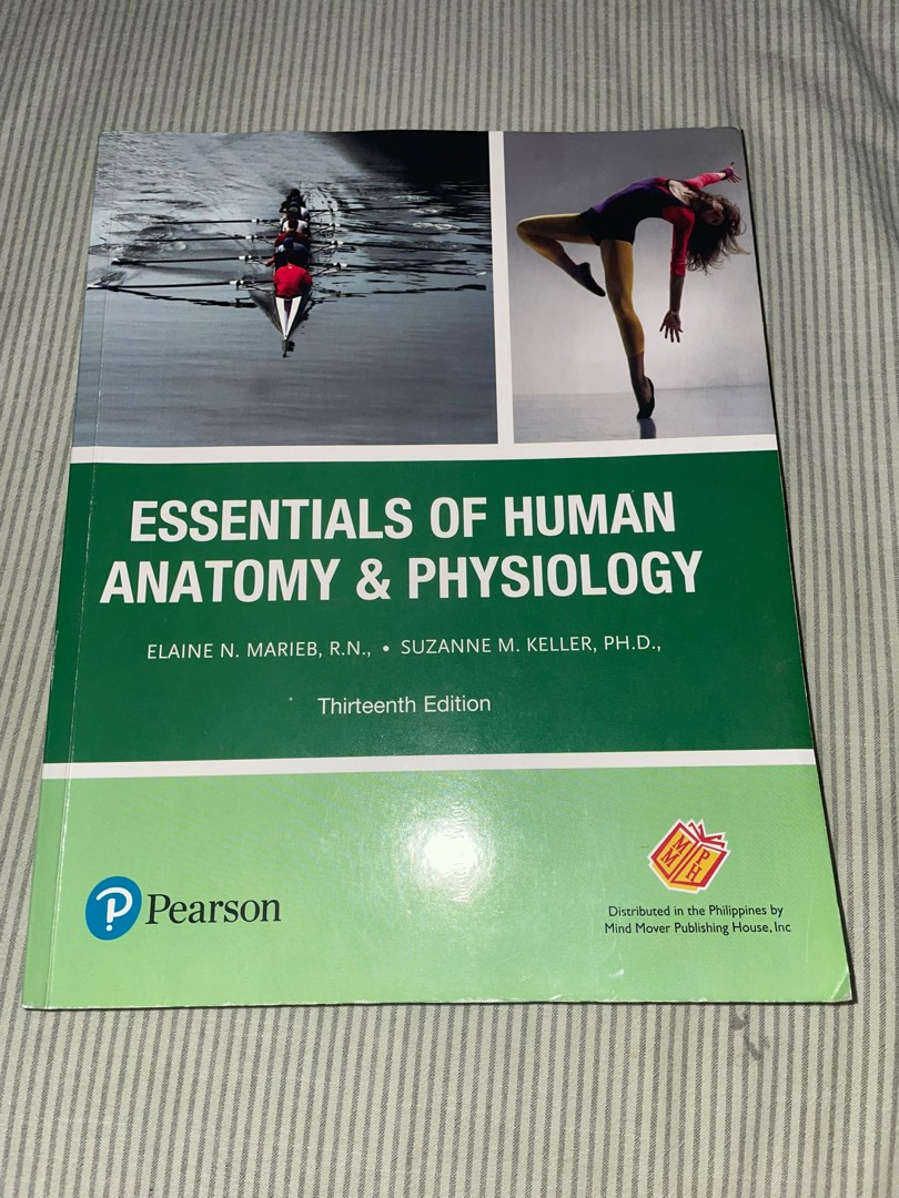 ESSENTIALS OF HUMAN ANATOMY AND PHYSIOLOGY PEARSON PDF visual data 3