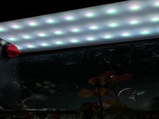 （分類：）位於 。 由 jacksononon 提交（商品編號 1321194736，圖片 1）。簡介： 。