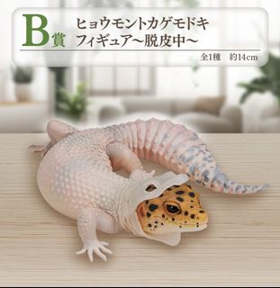 （分類：）位於 。 由 royalshark_d7c8cf 提交（商品編號 1321450997，圖片 1）。簡介： 。