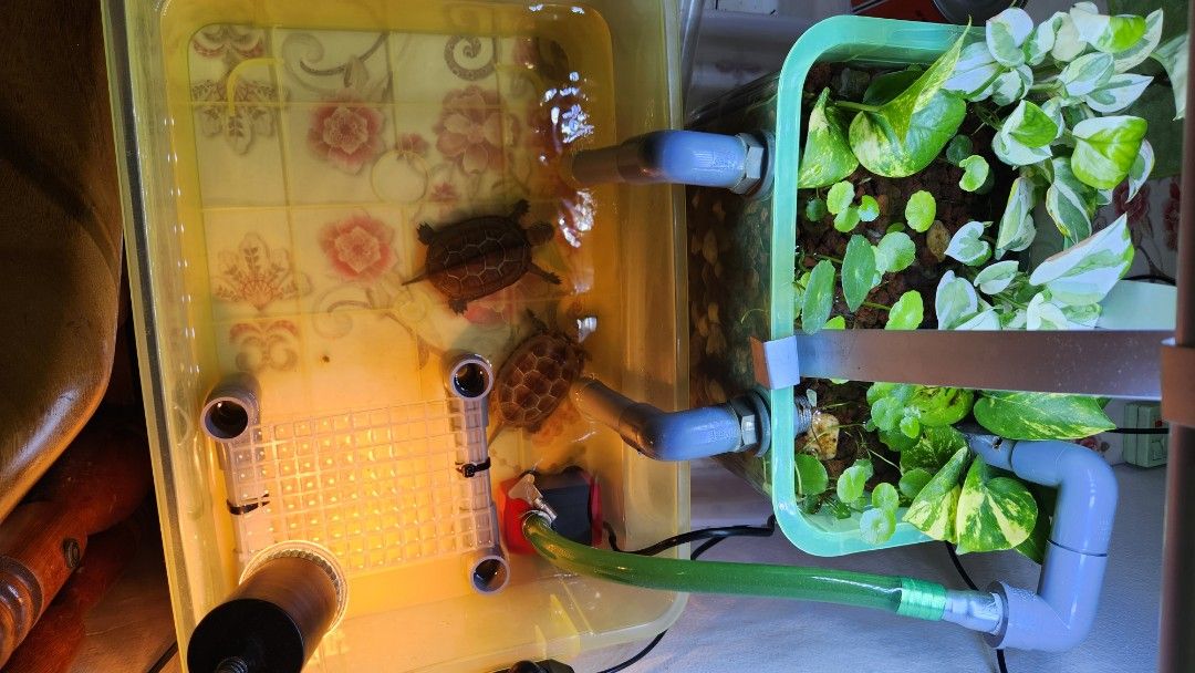 Bog Filter (Customize for you), Pet Supplies, Homes & Other Pet