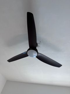 (Category: ) located in . Submitted by raviraj (Listing ID 1319955222, Image 1). Description: .