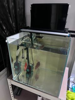 (Category: ) located in . Submitted by vpy_sg (Listing ID 1321444462, Image 1). Description: .