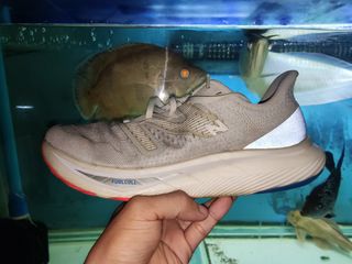 (Category: ) located in . Submitted by gd1990 (Listing ID 1318710803, Image 1). Description: .