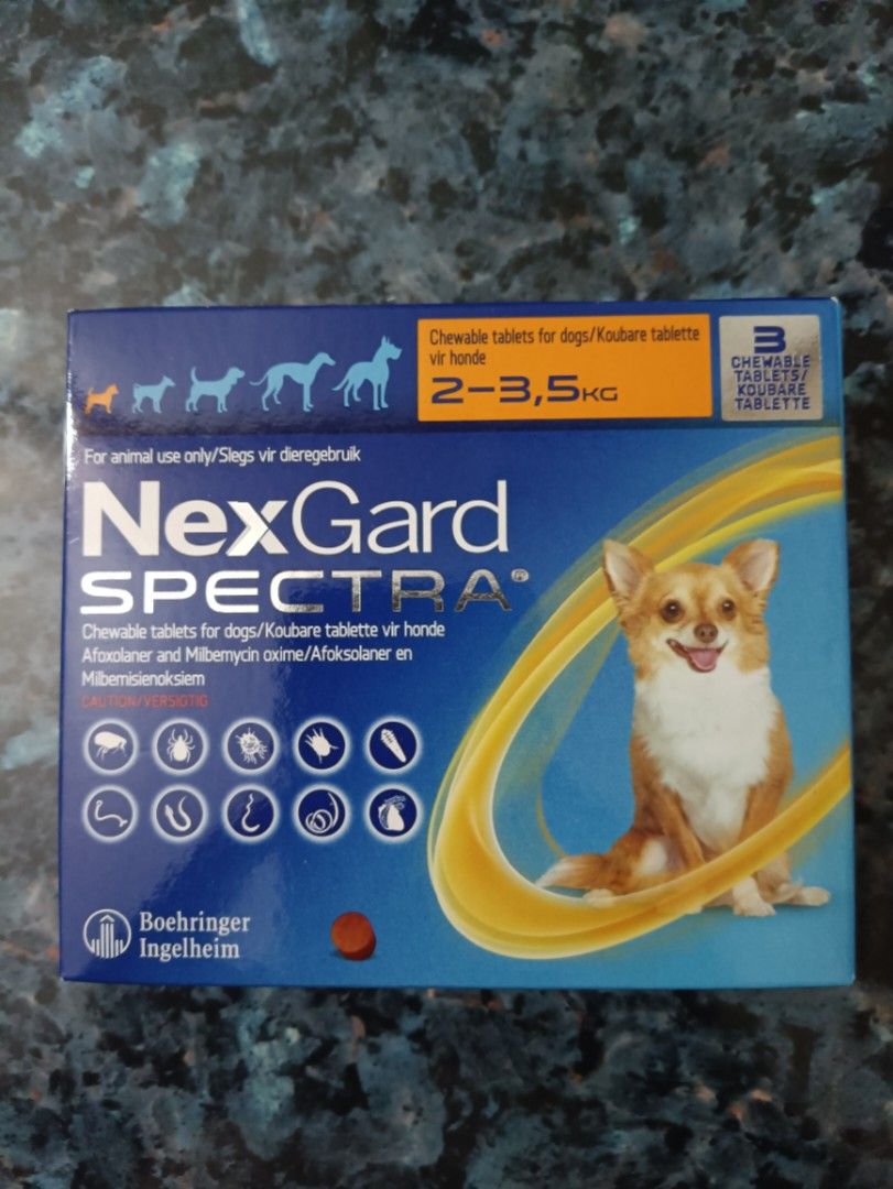 Nexgard Spectra Orange Pet Supplies Health Grooming on Carousell