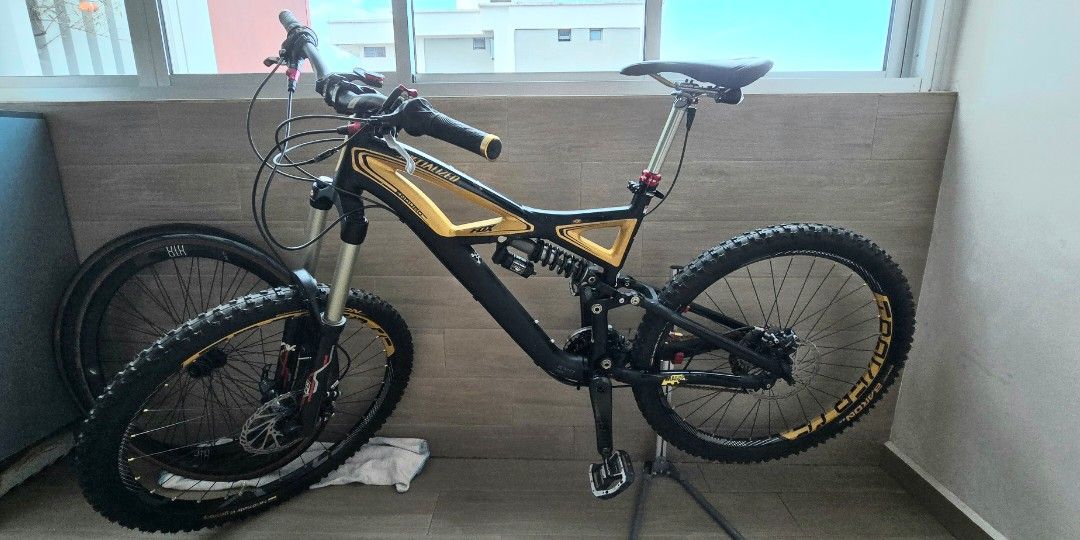 Specialized Enduro Expert Evo 2011 matt black gold