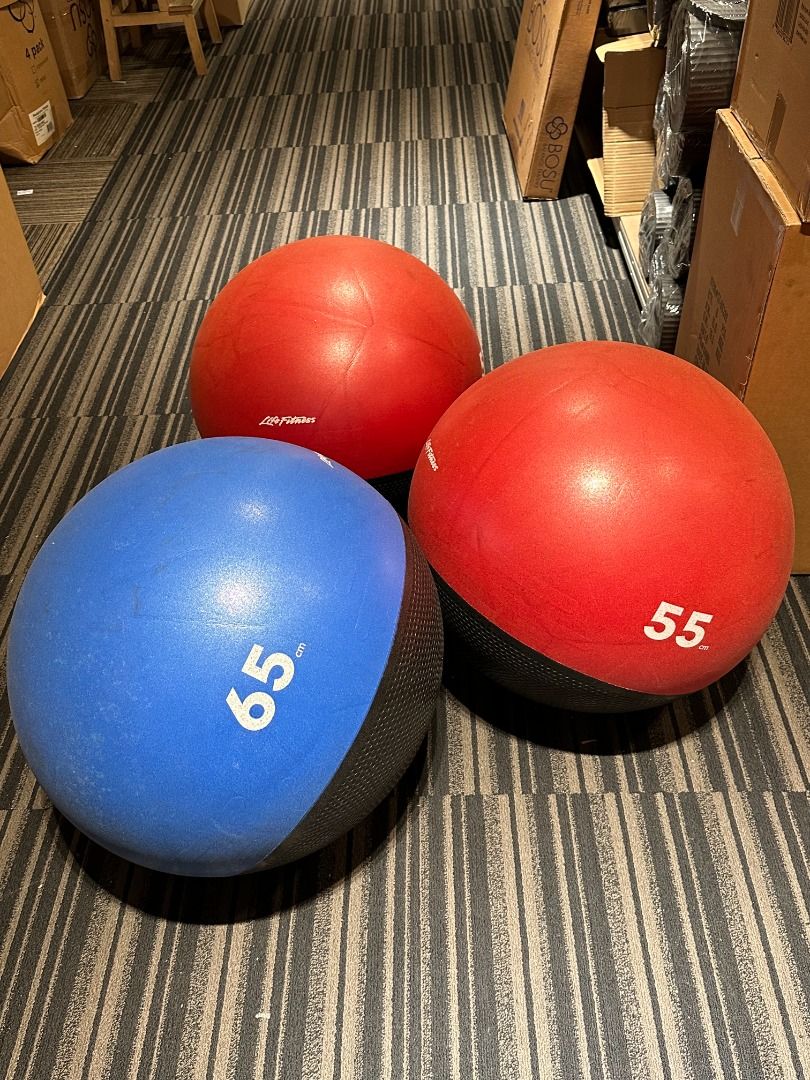 Used) Life Fitness Stability Ball 55cm, 65cm, Sports Equipment