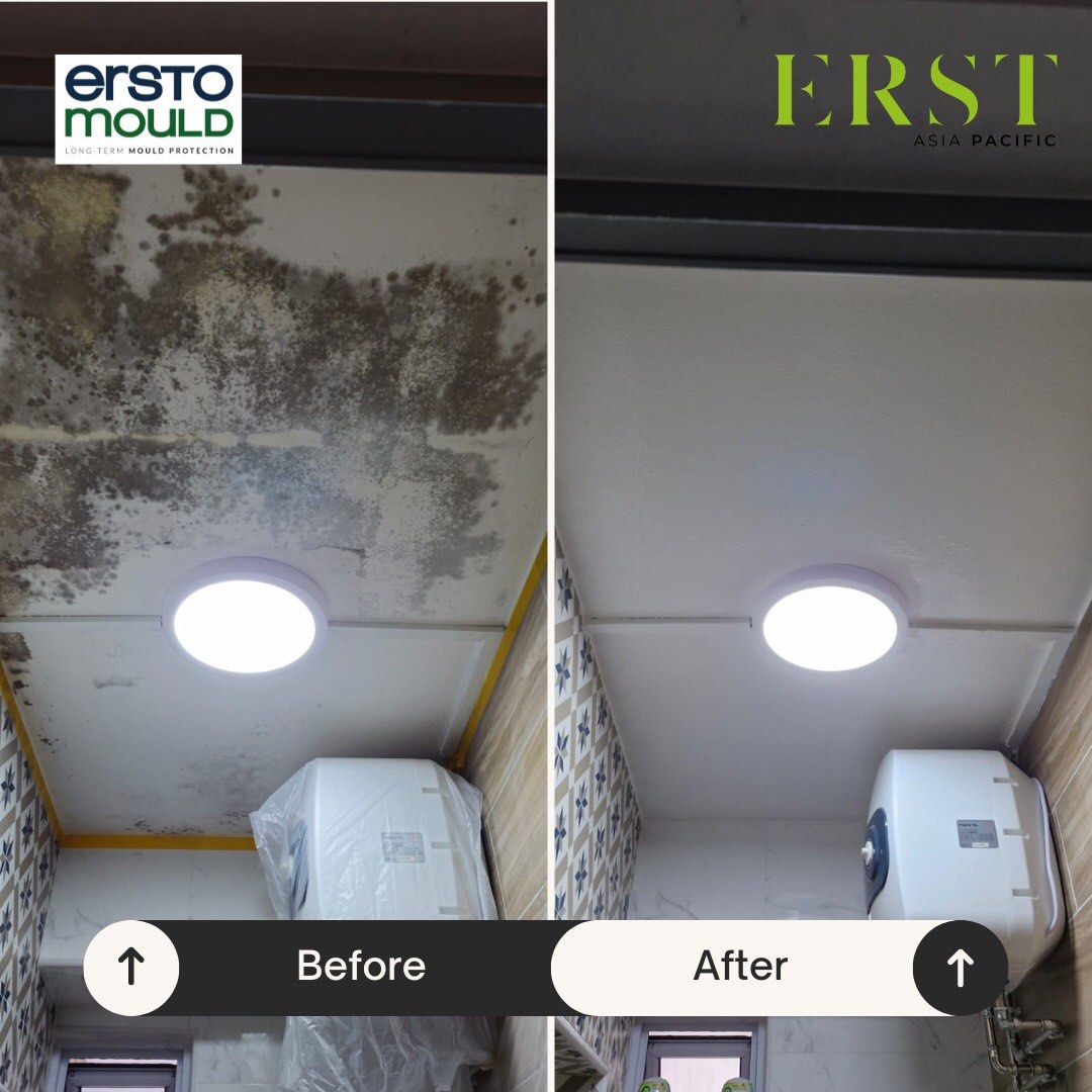 Prevent Worried About Mould Returning? ERSTOMOULD Paint Prevents Mould with a Long-Lasting Shield!Mould in Damp & Humid Rooms – ERSTOMOULD Keeps Walls & Ceilings Clean!62853068341762111