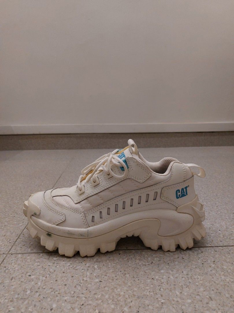 Cat intruder trainers UK4