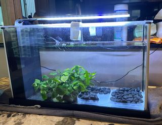 (Category: ) located in . Submitted by fauziahm (Listing ID 1321581228, Image 1). Description: .