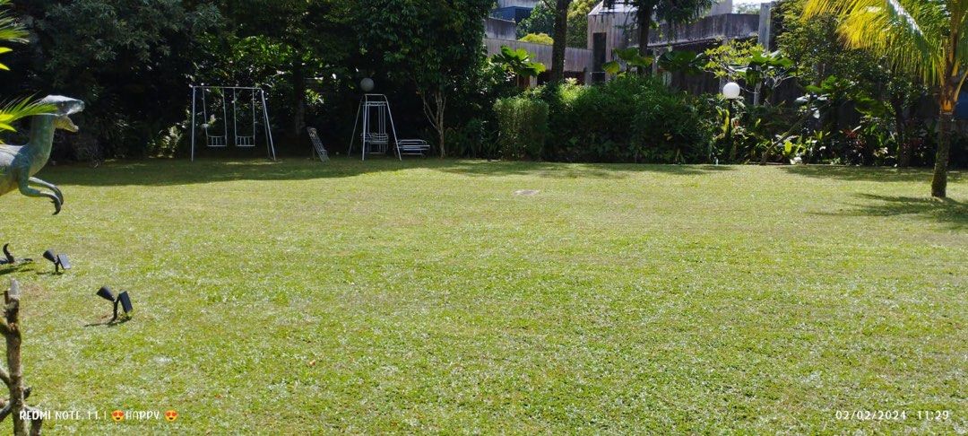 Grass cutting & Garden Maintenance 64884983977603111