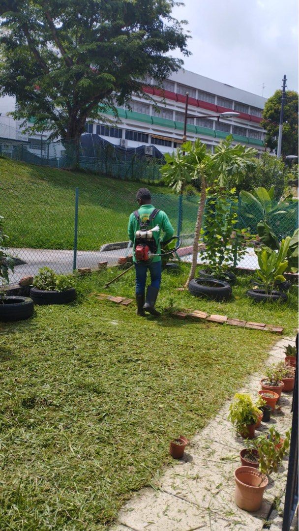 Grass cutting & Garden Maintenance 64884983977603113