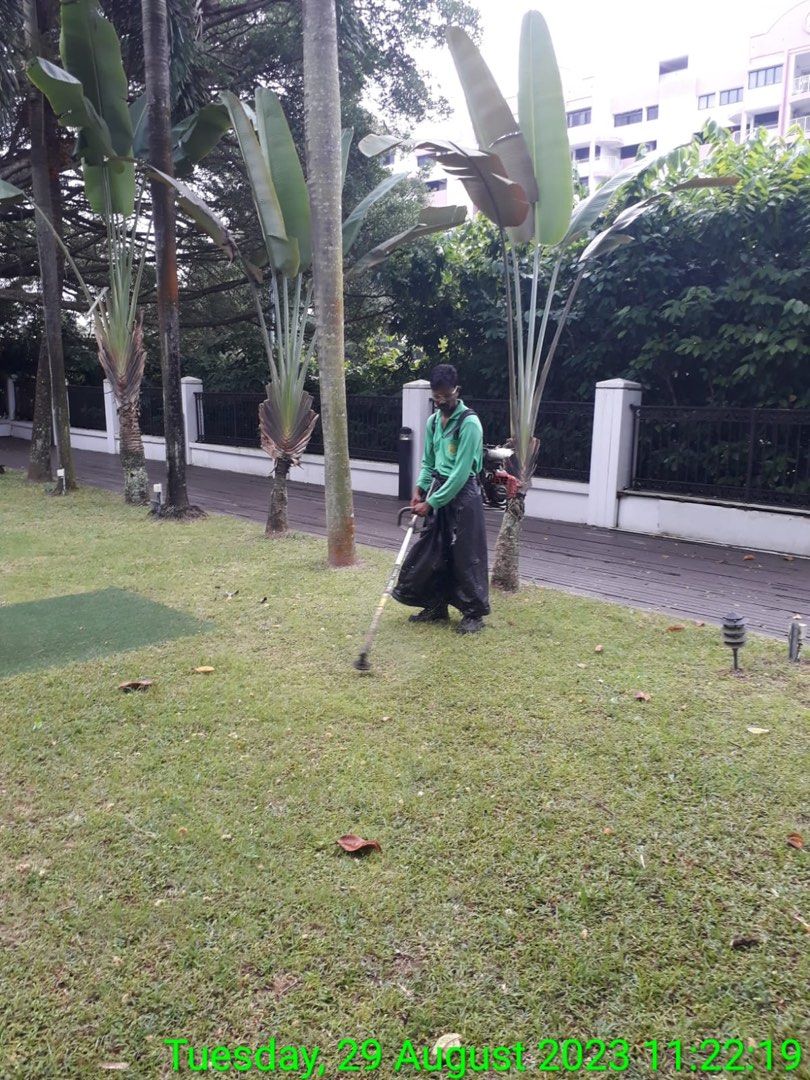 Grass cutting & Garden Maintenance 64884983977603112