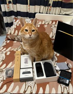 （分類：）位於 。 由 mansiukit 提交（商品編號 1321625847，圖片 1）。簡介： 。