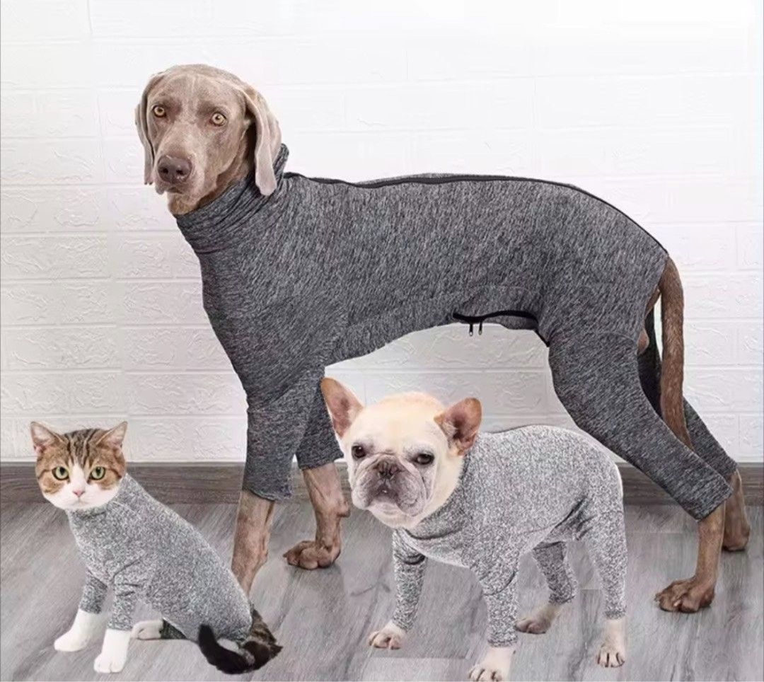 S L Male pet onesie recovery suit shedding suit Pet Supplies Homes Other Pet Accessories on Carousell