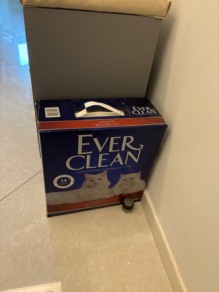 Ever clean sand best sale