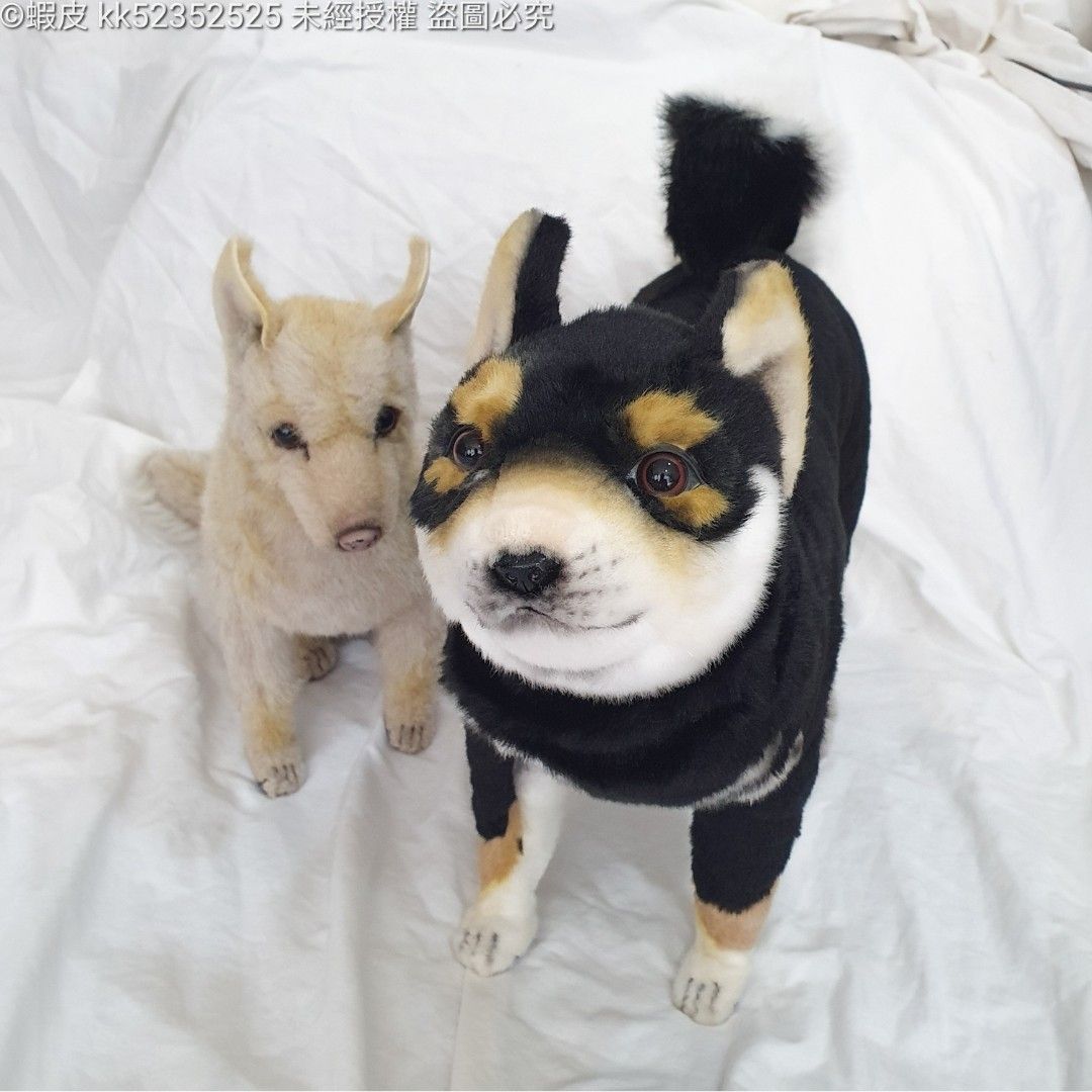 HANSA 7242 クロシバ50 全長：50cm SHIBA DOG BLACK BH7242 ぬいぐるみ  