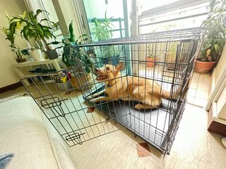 (Category: ) located in . Submitted by mayydd (Listing ID 1321728766, Image 1). Description: .