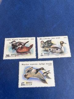 （分類：）位於 。 由 wanderernshop 提交（商品編號 1321850847，圖片 1）。簡介： 。