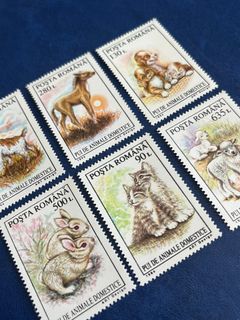 （分類：）位於 。 由 wanderernshop 提交（商品編號 1321854300，圖片 1）。簡介： 。