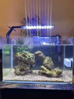 (Category: ) located in . Submitted by afiqkr (Listing ID 1321871428, Image 1). Description: .