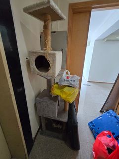 (Category: ) located in . Submitted by auburnlek (Listing ID 1321892979, Image 1). Description: .