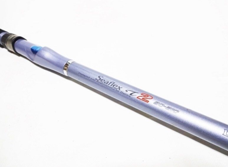 Daiwa interline rod Seaflex T2, Sports Equipment, Fishing on Carousell