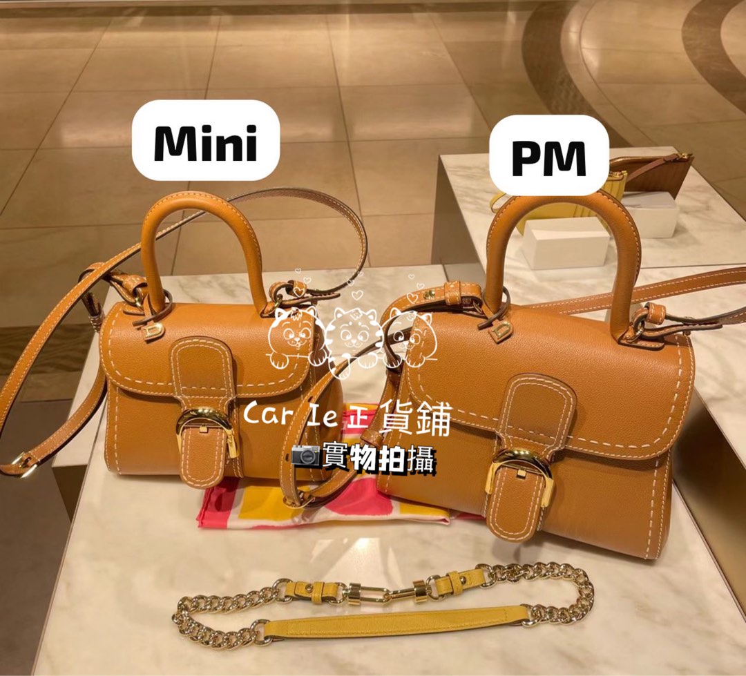 delvaux_brillant_mini___172456