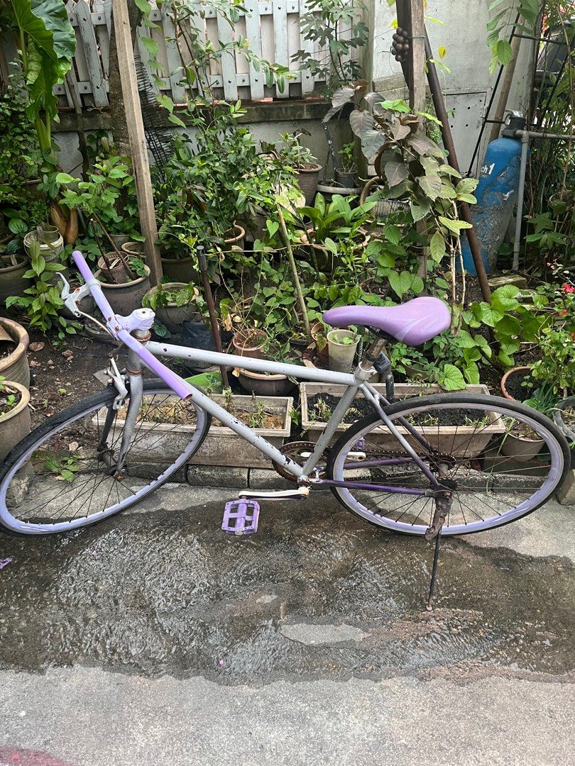 GAINWAY FIXIE