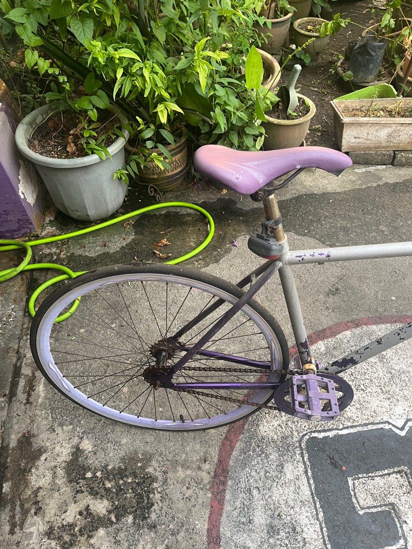 GAINWAY FIXIE