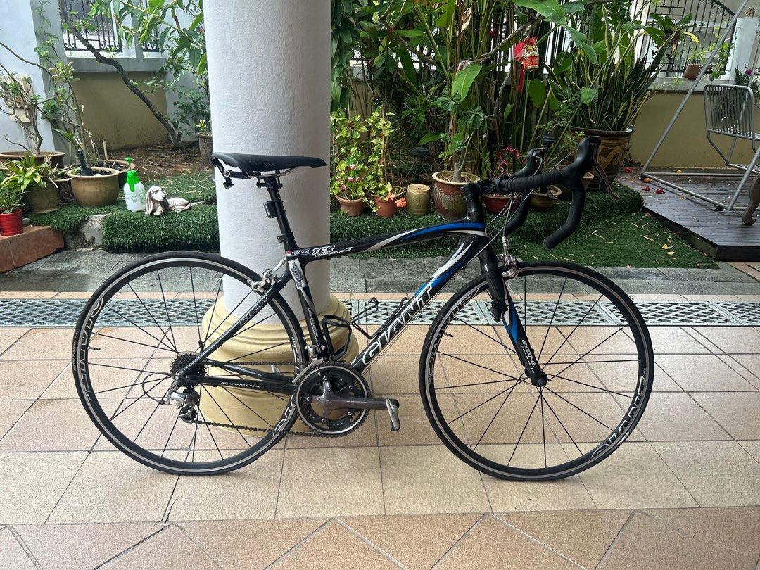 Tcr composite 3 2025