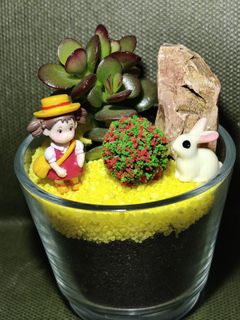 (Category: ) located in . Submitted by my_little_garden (Listing ID 1321833086, Image 1). Description: .