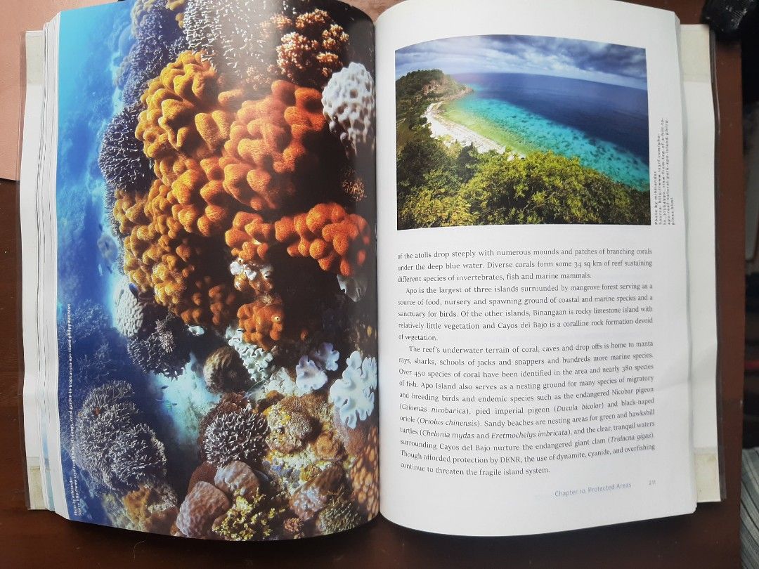 The Philippines: A Natural History (Category: Storybooks) located in Pasay City. Submitted by abbycaraig (Listing ID 1321864650, Image 3). Description: - Paperback, plastic-covered, pages are bent but not crinkled nor crumpled - Bought from artbooks.ph - Buyer will shoulder the delivery fee Location 📍 Taft, Pasay City.