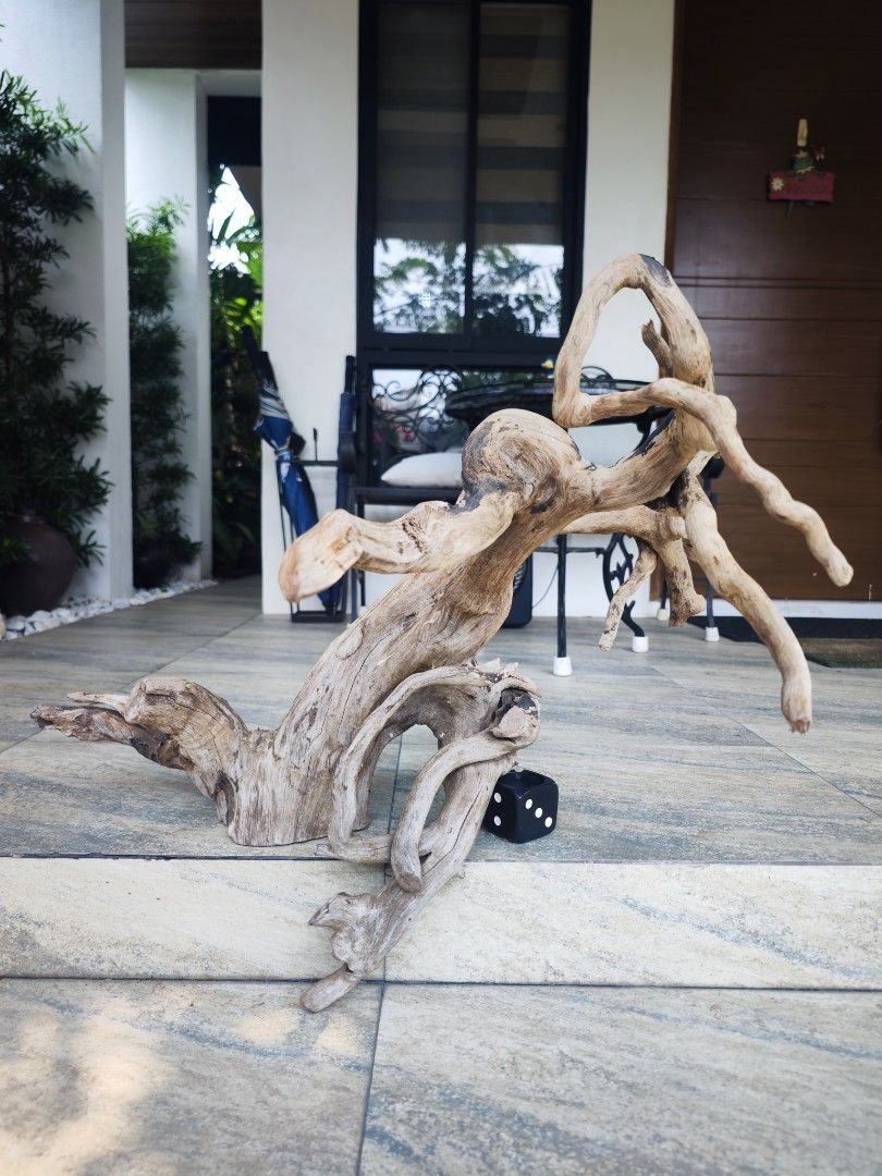 Aquarium Driftwood Large (Category: Homes & Other Pet Accessories) located in Taguig. Submitted by johntaxpayer (Listing ID 1322026616, Image 1). Description: Length 31 inches Height 27 inches Width (including branches) 23 inches Width (body only) 11 inches Ideal for large aquarium.