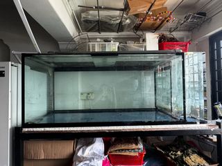 (Category: ) located in . Submitted by chat.with.ruthkang (Listing ID 1322032629, Image 1). Description: .
