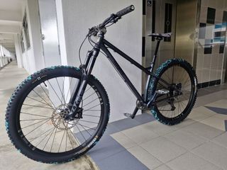 Hardtail frame for sale 2025