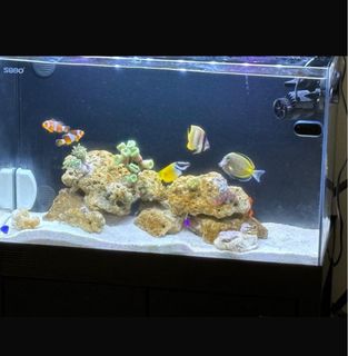 (Category: ) located in . Submitted by kforgetech (Listing ID 1322181480, Image 1). Description: .