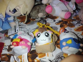 (Category: ) located in . Submitted by rogerhabbitz (Listing ID 1322041358, Image 1). Description: .