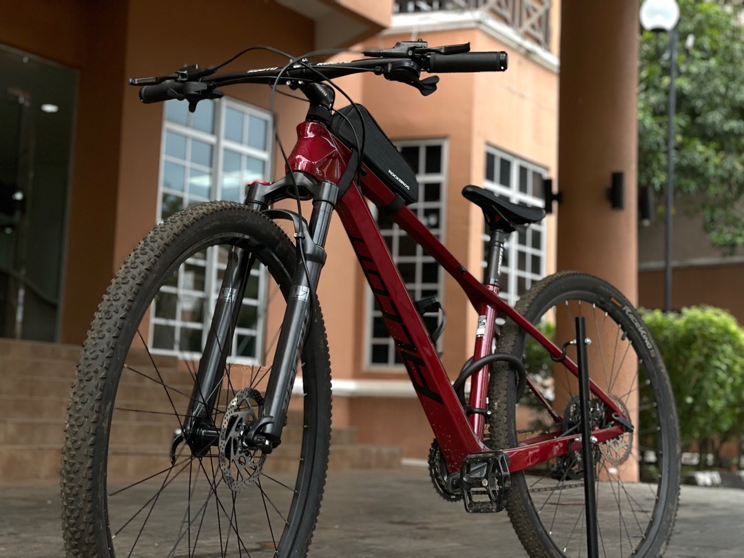 Mtb alcott dino online