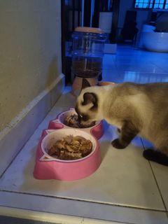 (Category: ) located in . Submitted by juno8 (Listing ID 1322300902, Image 1). Description: .