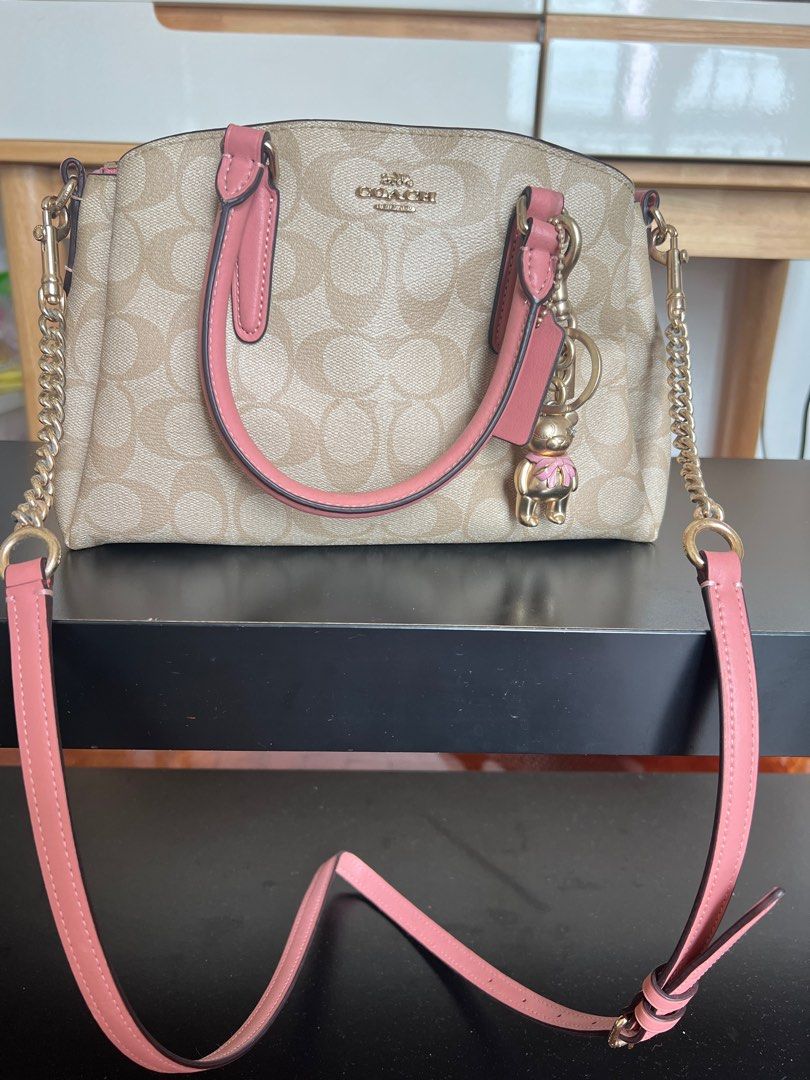 Mini sage carryall best sale