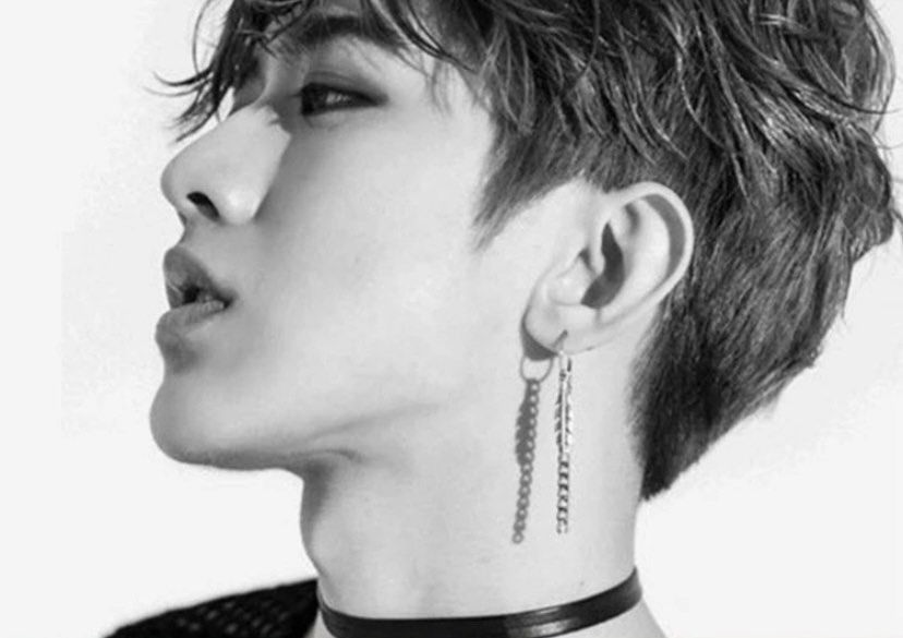 Korean Boys Earrings ZEBRA PATH Unisex Earrings, BTS JIN Earrings