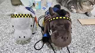 （分類：）位於 。 由 chanleo0607 提交（商品編號 1322498143，圖片 1）。簡介： 。