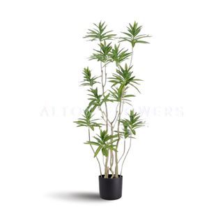 (Category: ) located in . Submitted by altonflowerscomm (Listing ID 1321570300, Image 1). Description: .
